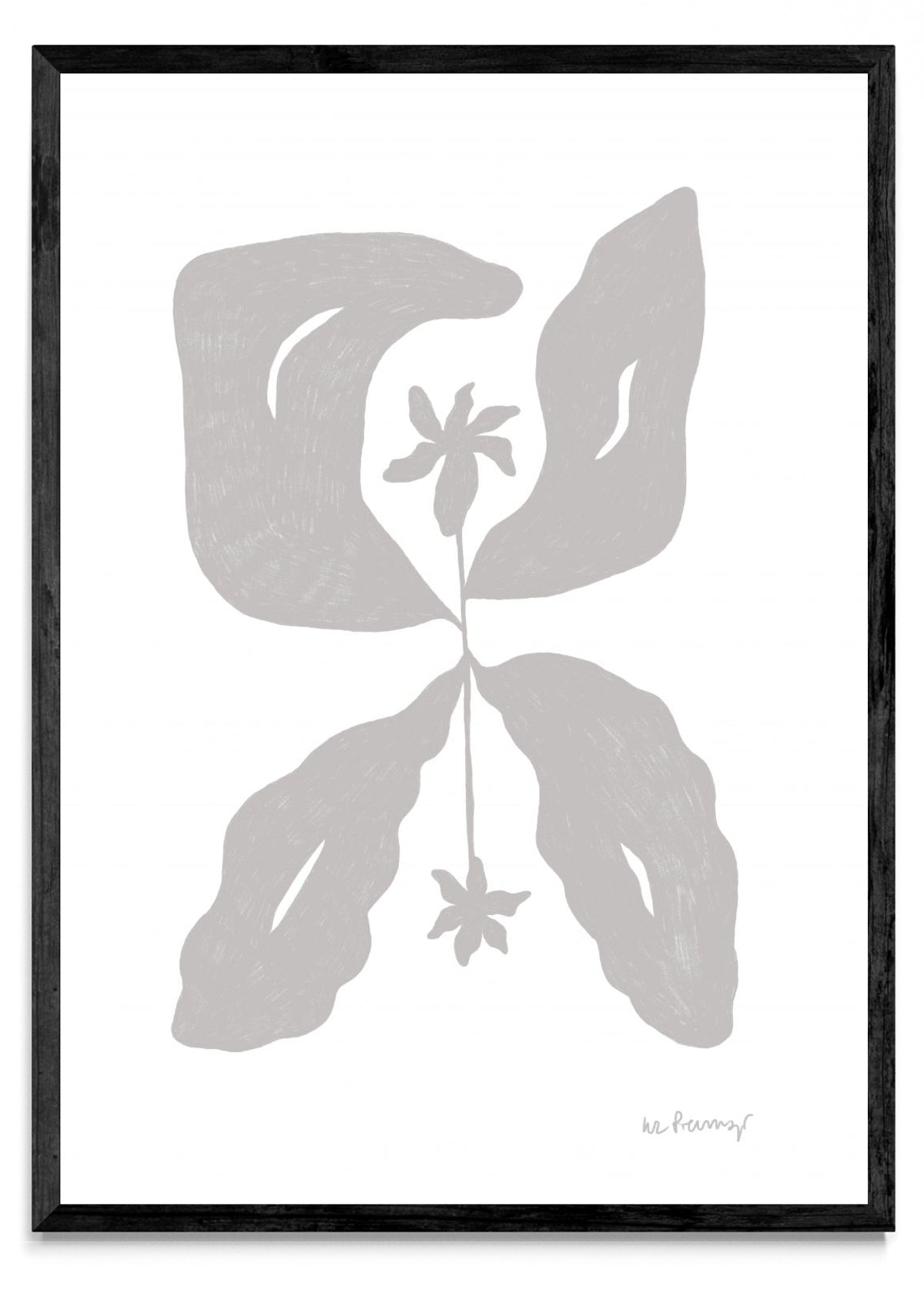 Flor neutra 7 - Retrato N