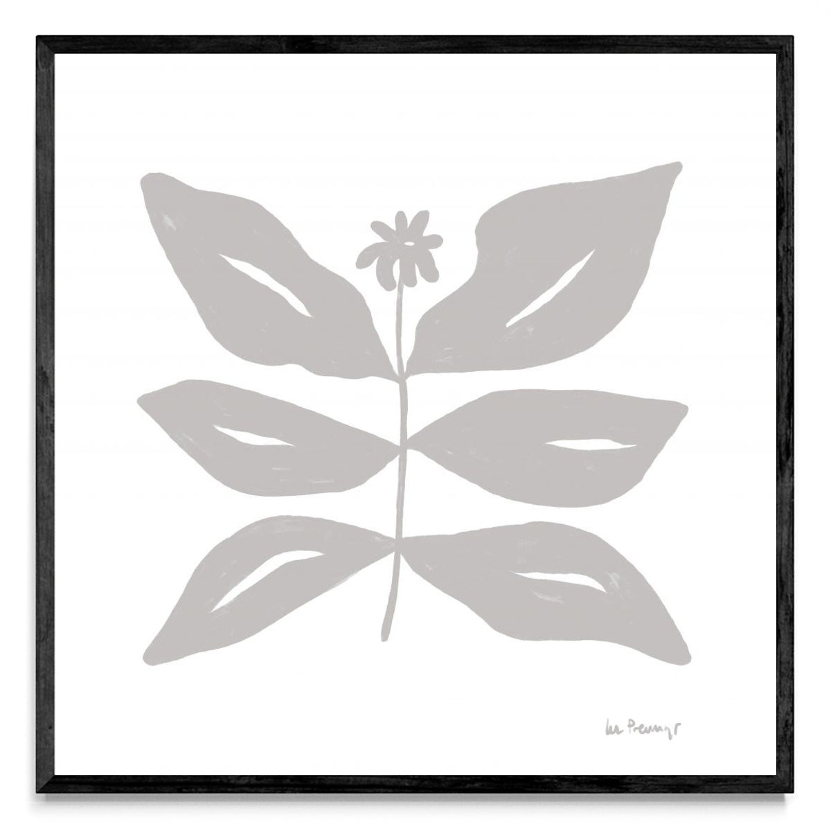 Flor neutra 8 - Cuadrado N