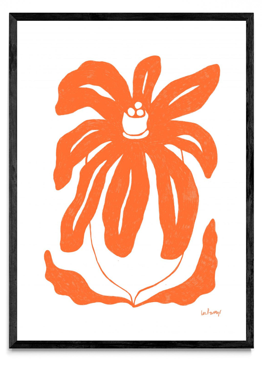 Flor naranja 3 - Retrato N