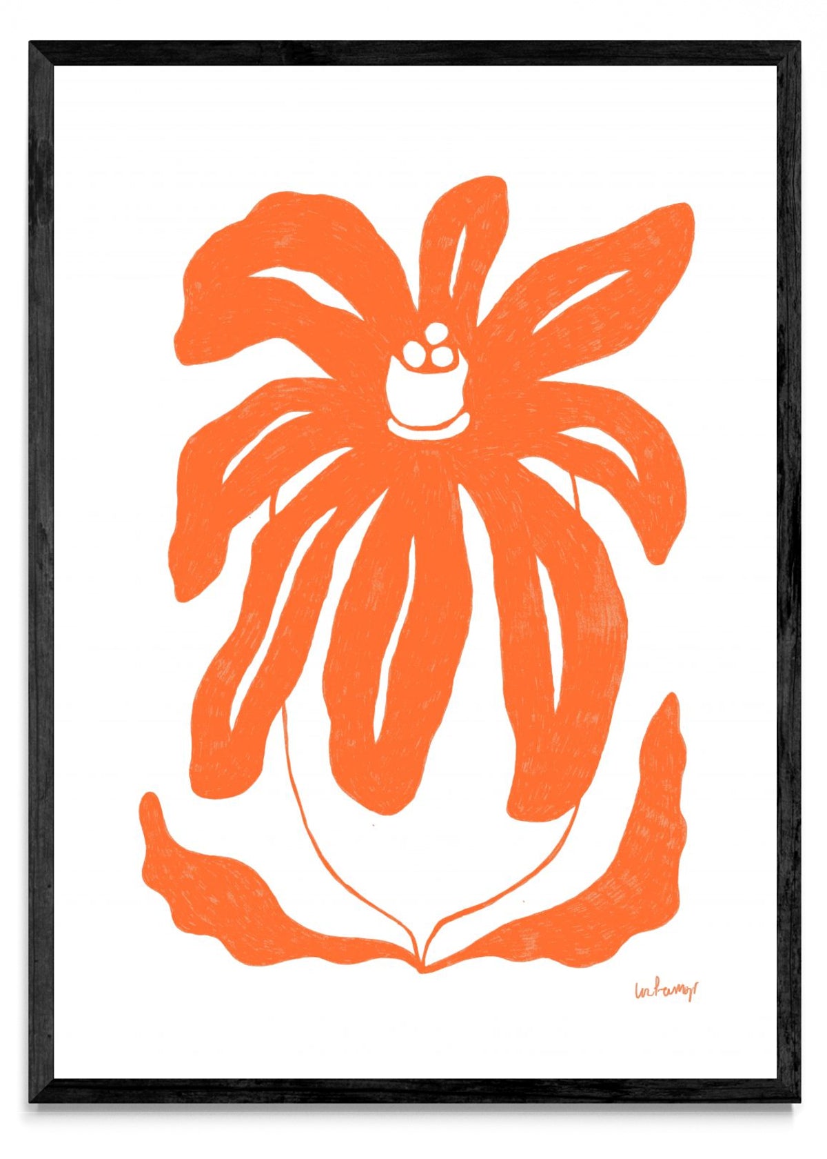 Flor naranja 3 - Retrato N