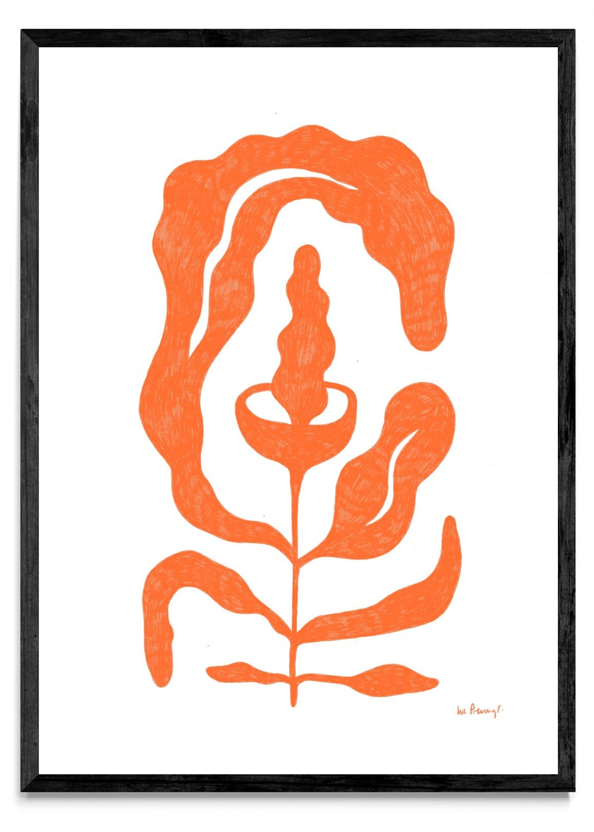 Flor naranja 4 - Retrato N