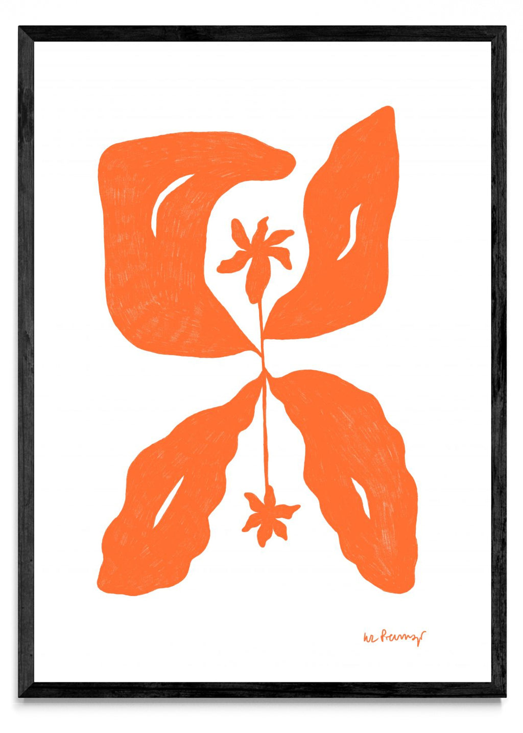 Flor naranja 6 - Retrato N