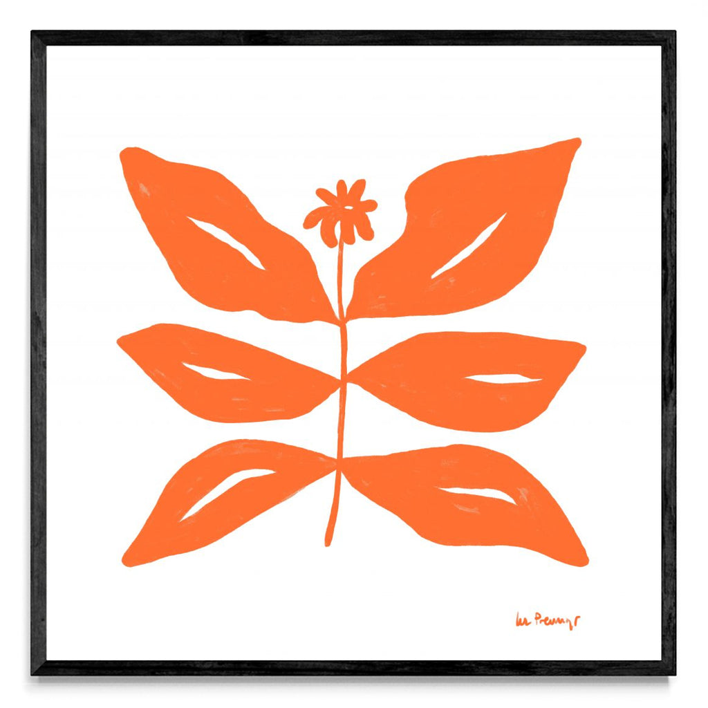 Flor naranja 8 - Cuadrado N