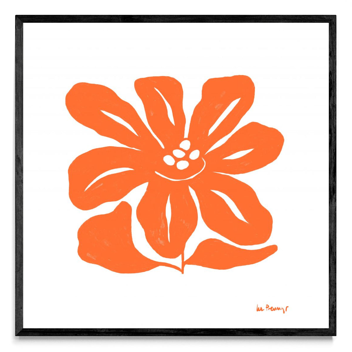 Flor naranja 9 - Cuadrado N