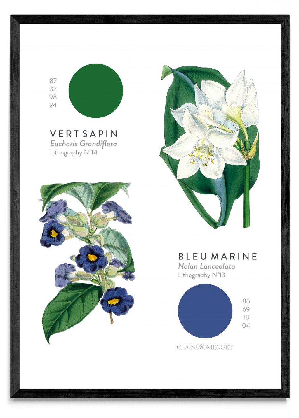 FLEURS ET COULEURS - Retrato N