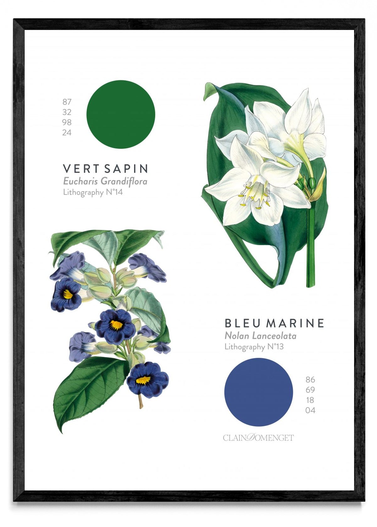 FLEURS ET COULEURS - Retrato N