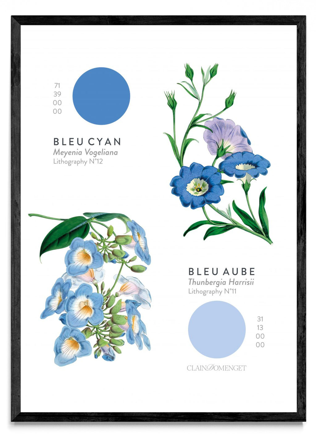 FLEURS ET COULEURS - Retrato N