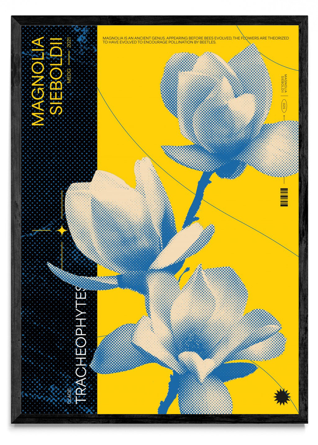 Magnolia - Retrato N