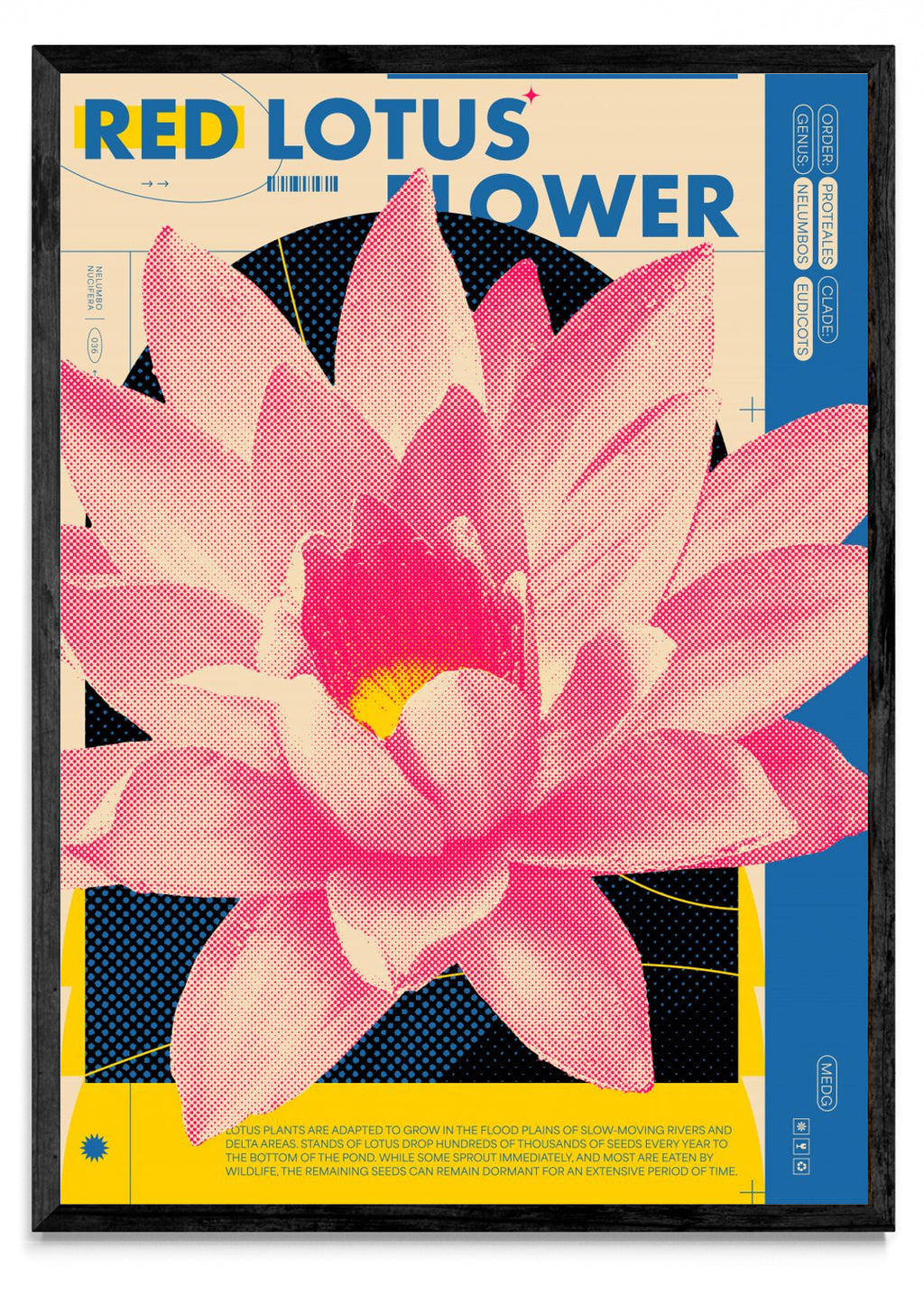 Red Lotus - Retrato N