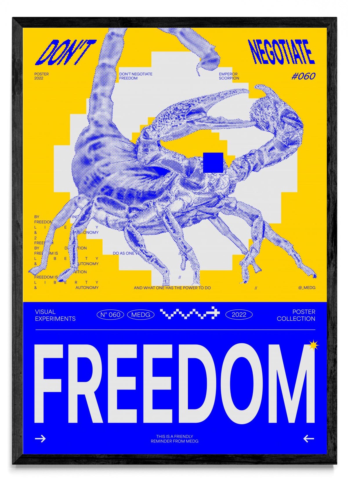 Freedom - Retrato N