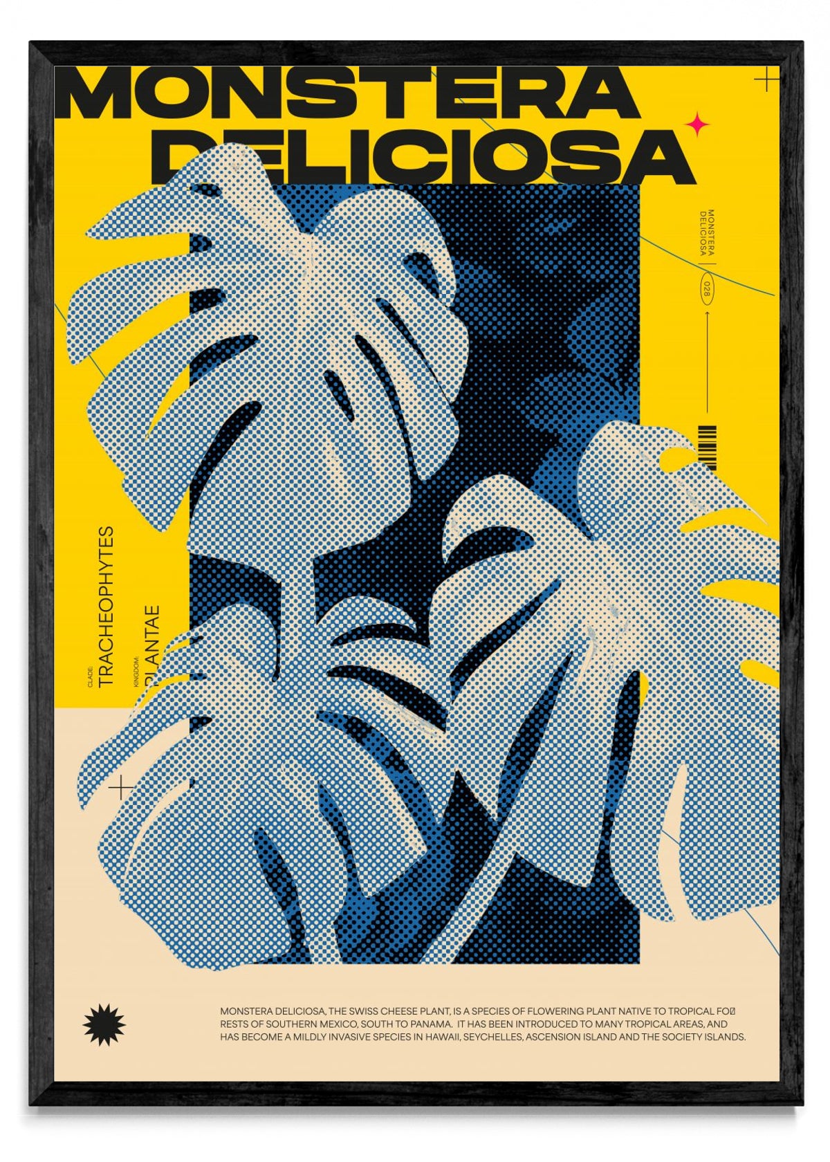 Monstera Deliciosa - Retrato N