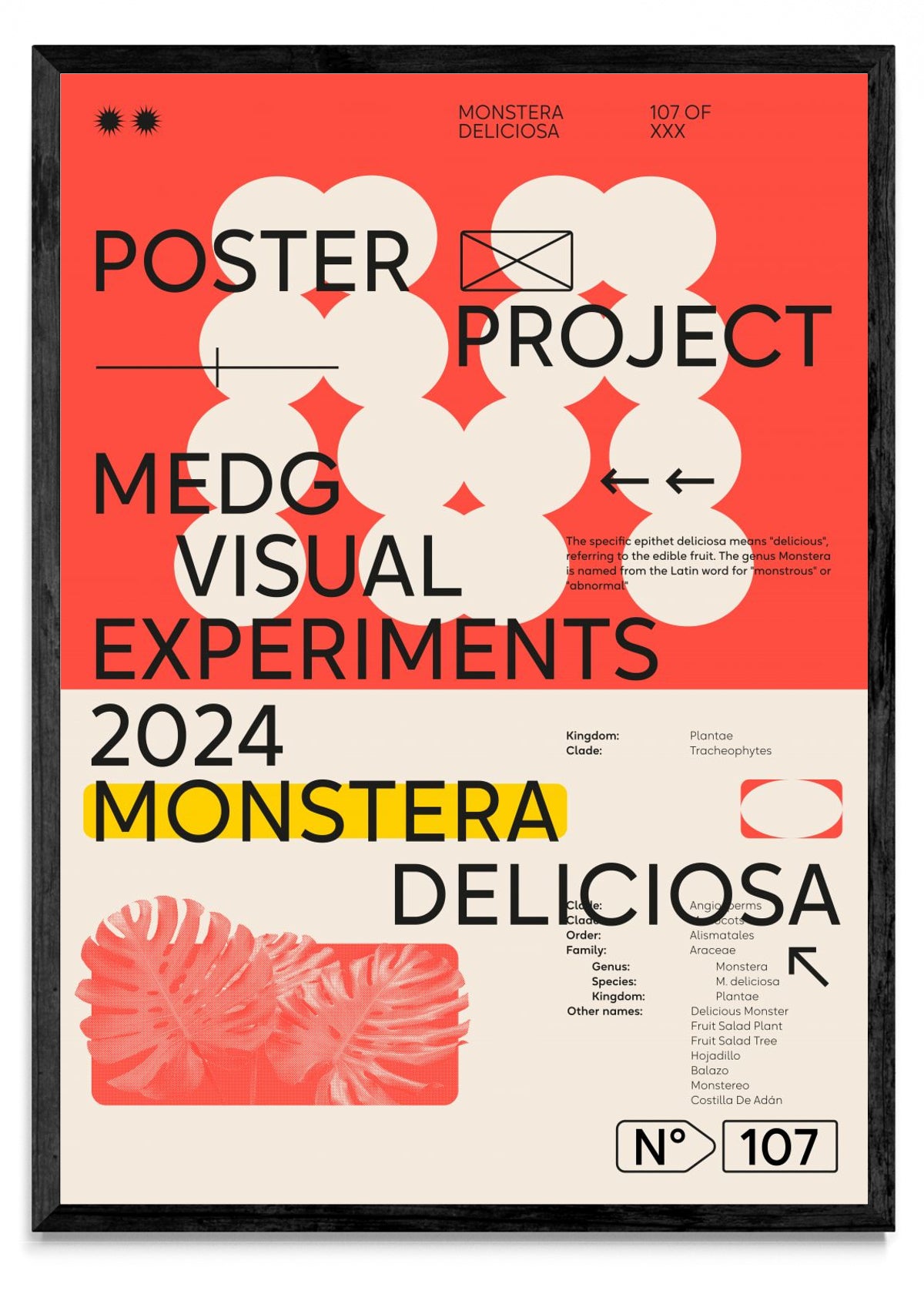 Monstera Deliciosa - Retrato N