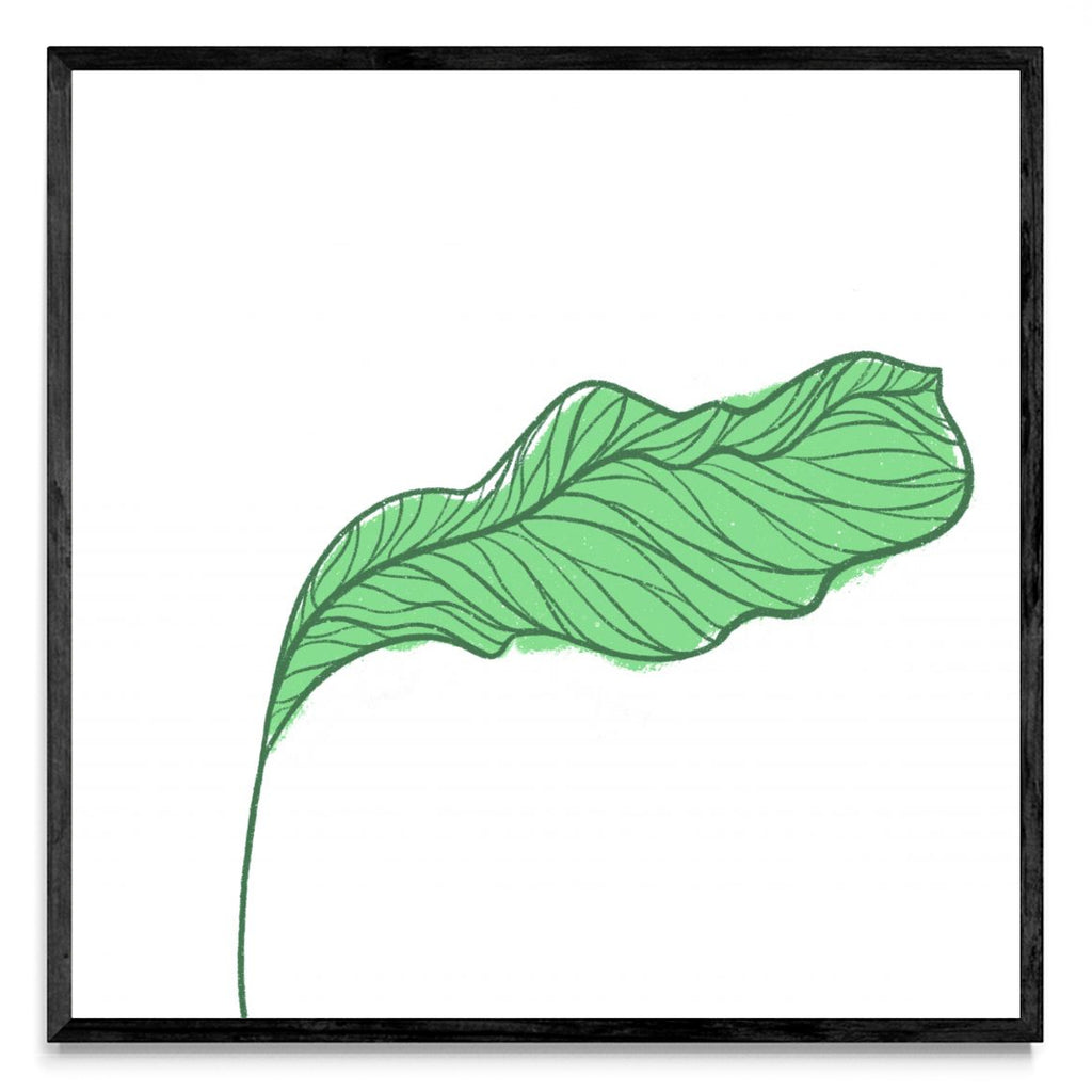 Botanic - Cuadrado N