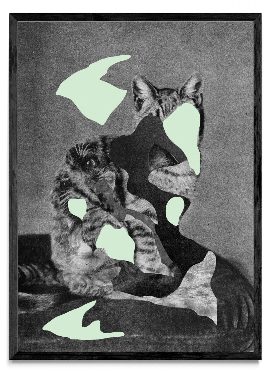 Gato - Retrato N