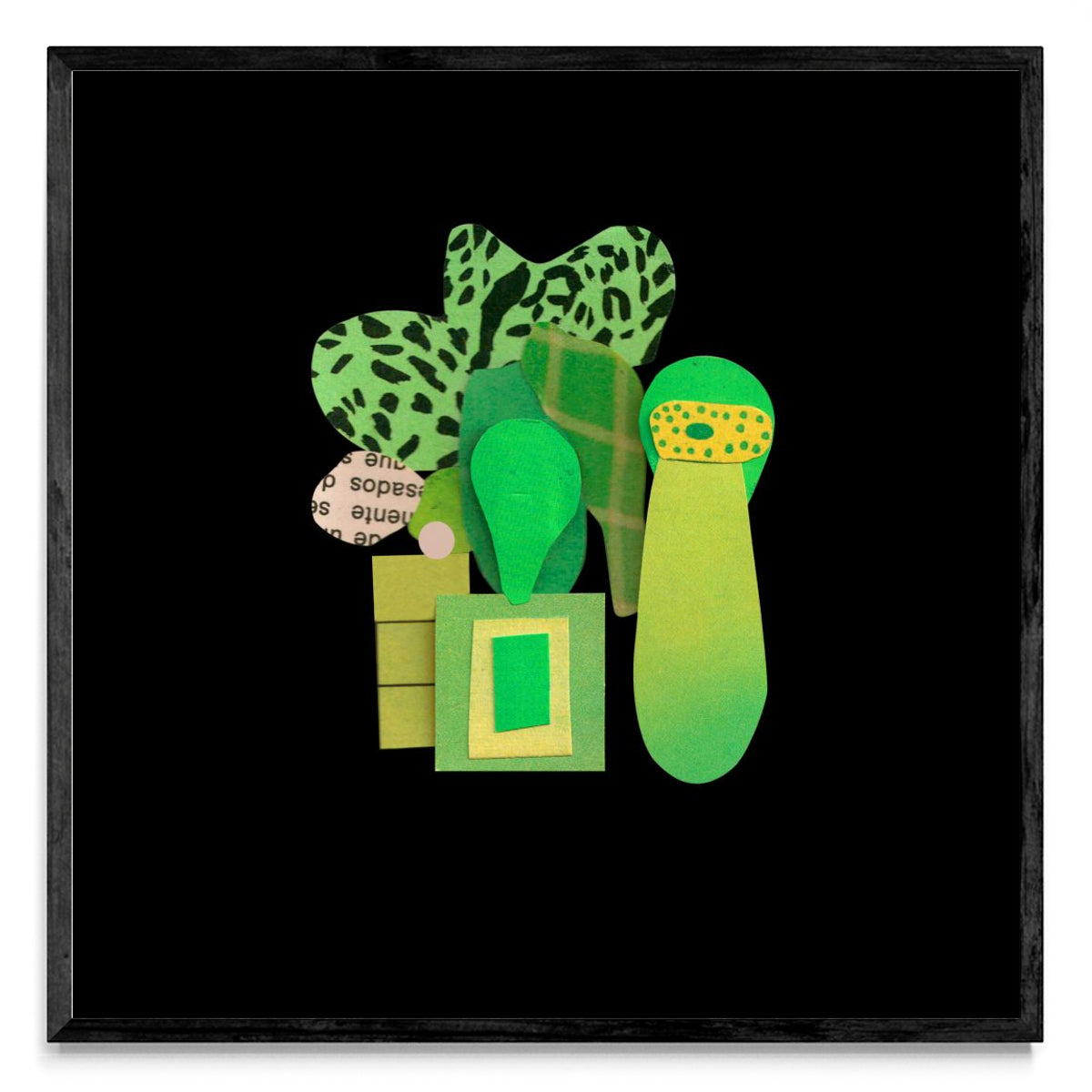 Jardin #001 - Cuadrado N