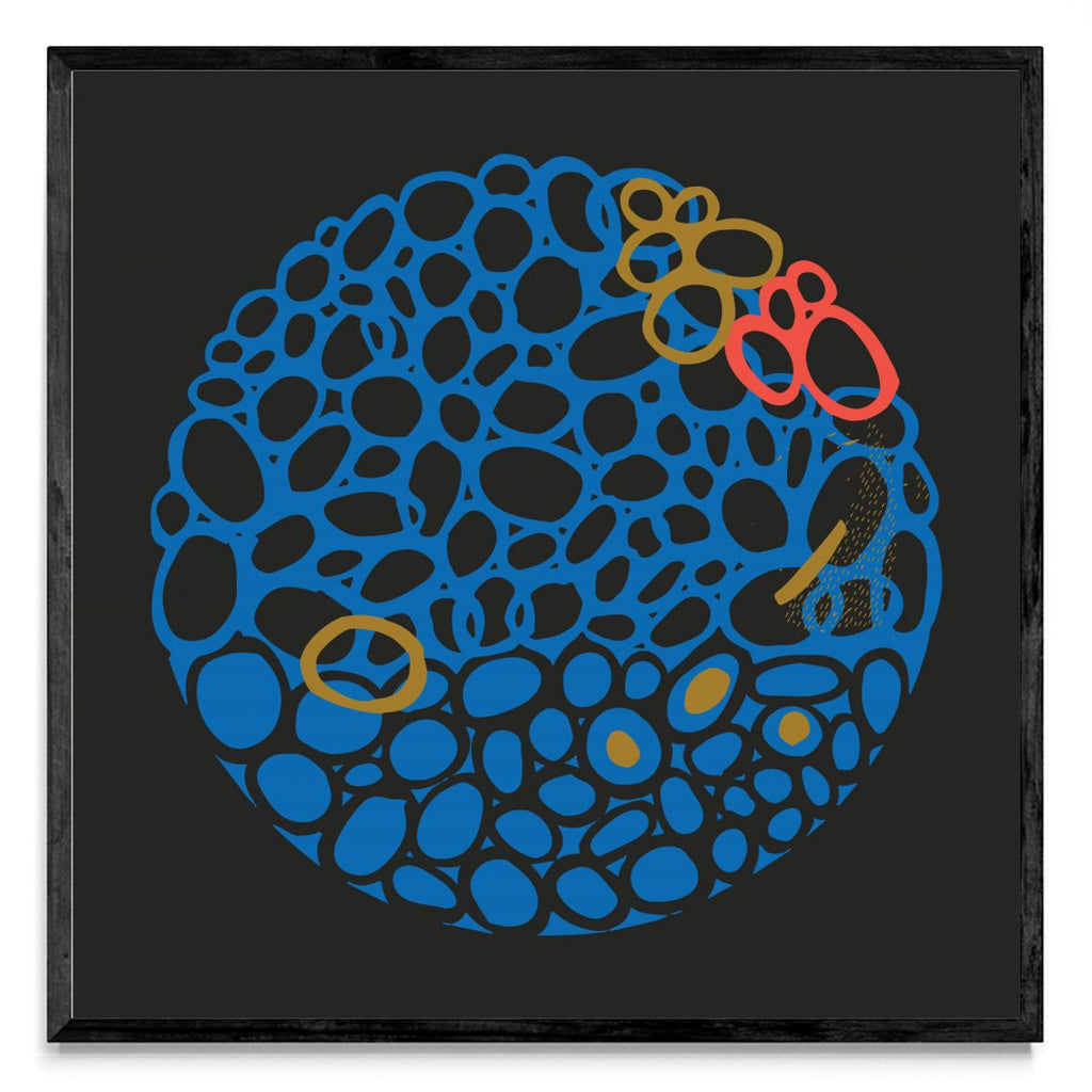 STONE CIRCLE - NEGRO Y AZUL - Cuadrado N