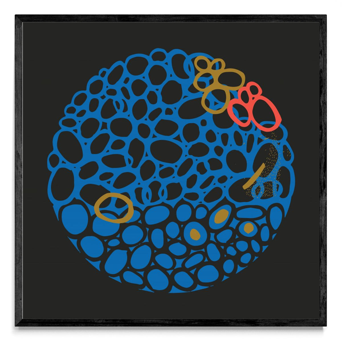 STONE CIRCLE - NEGRO Y AZUL - Cuadrado N