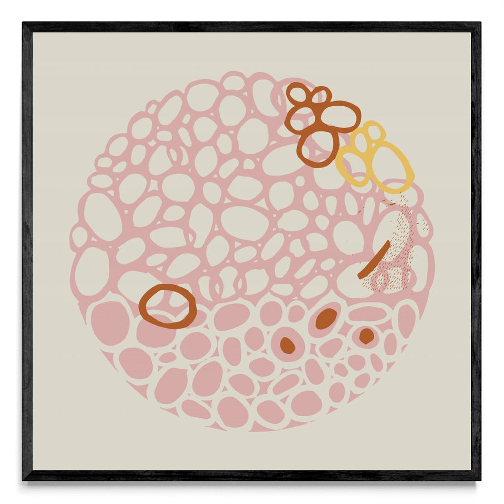 STONE CIRCLE - PALE PINK - Cuadrado N