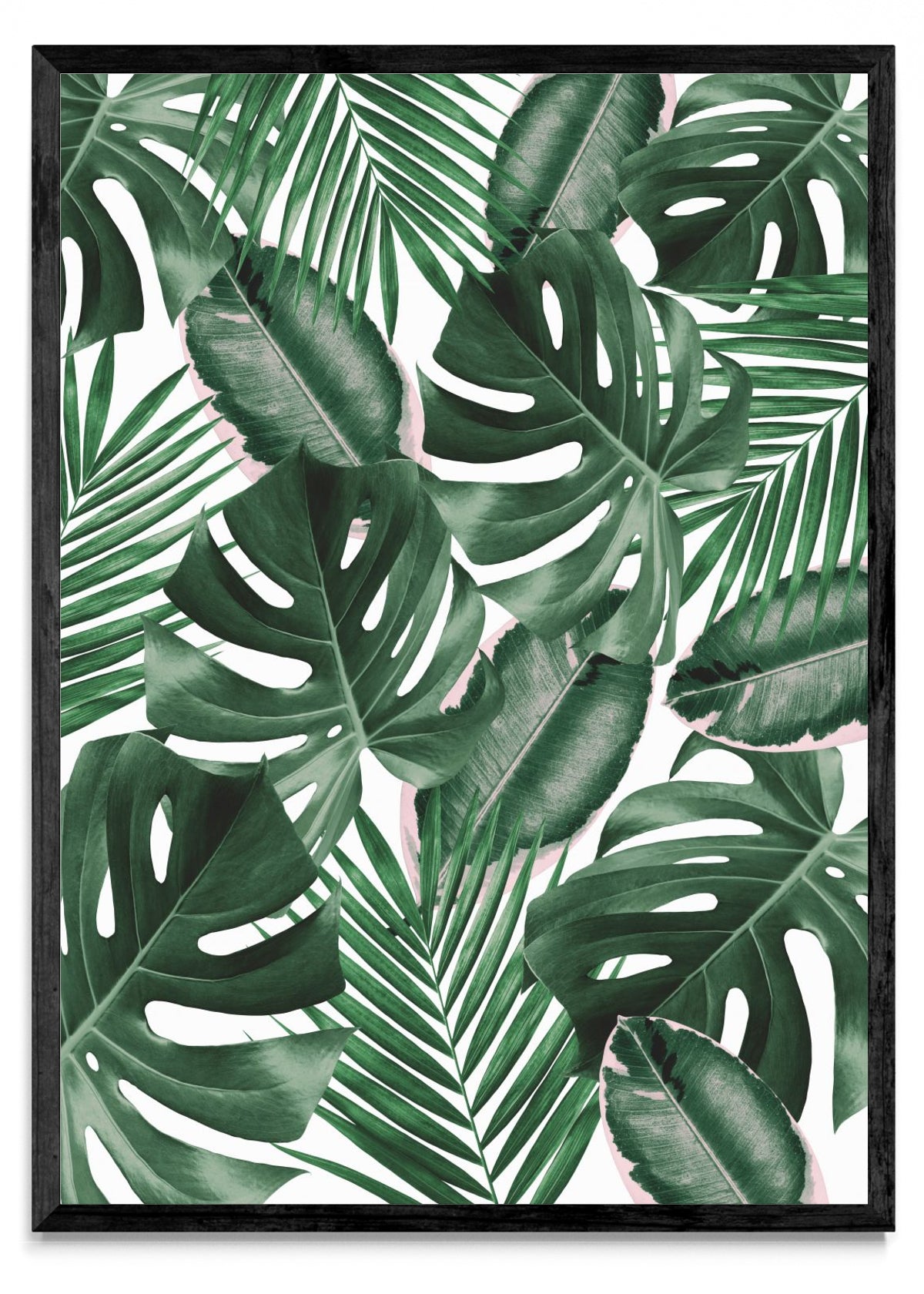 Collage botánico 3 - Retrato N