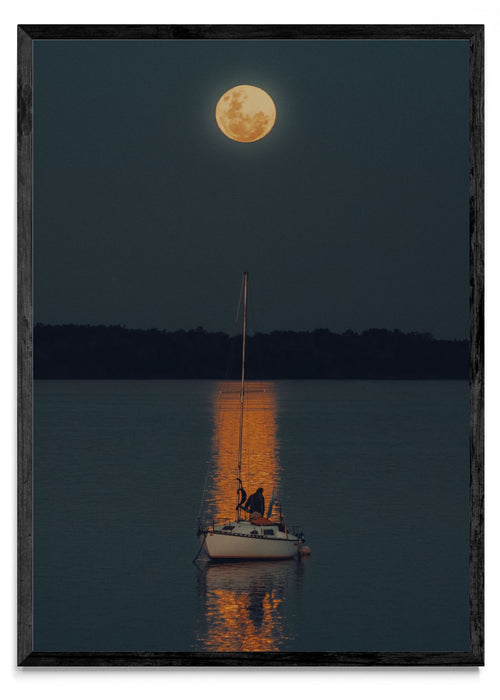 A la luz de la luna - Retrato N