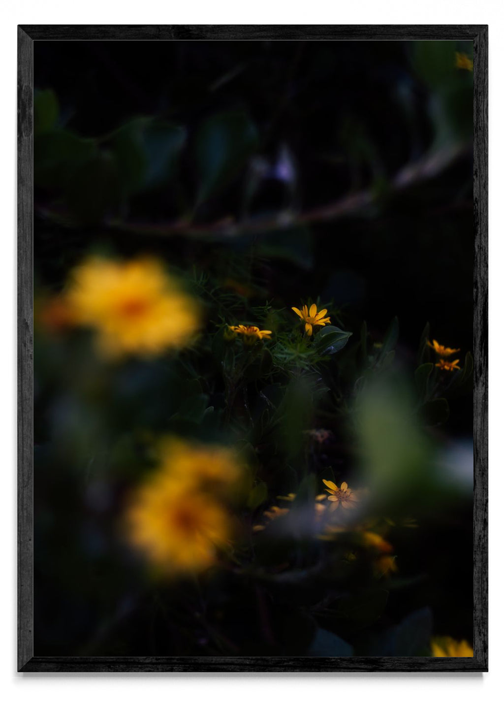 Flores amarillas - Retrato N