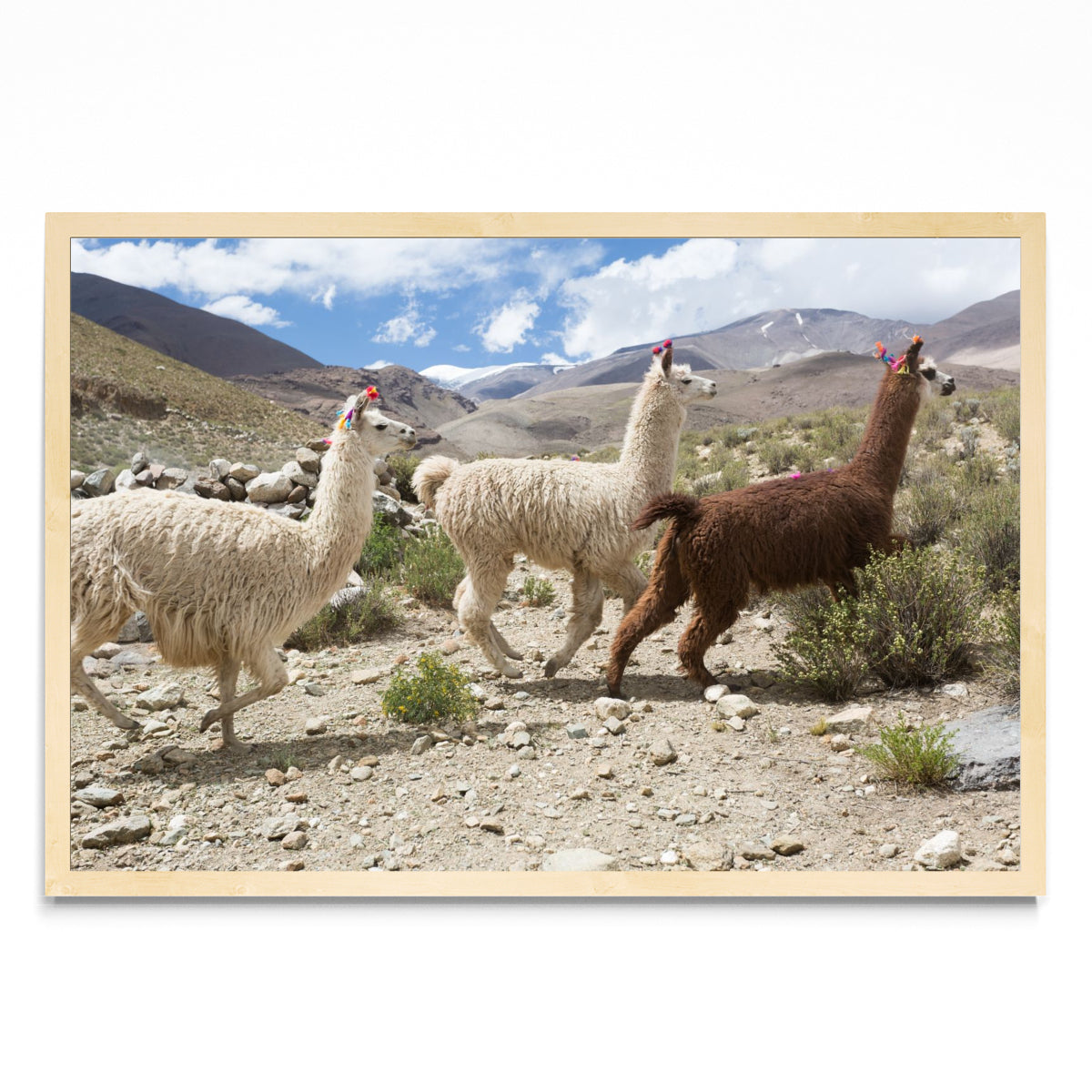 Tres llamas - FotoH MC