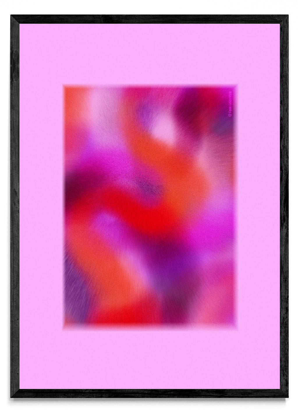 Wiggly rosa - Retrato N