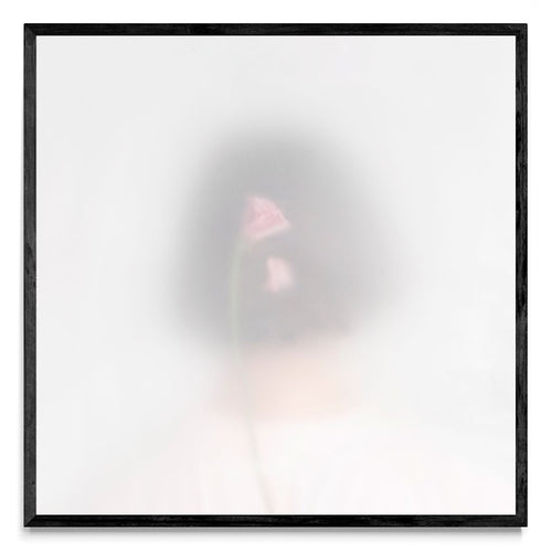 Aromas cotidianos - ritual I - Cuadrado N