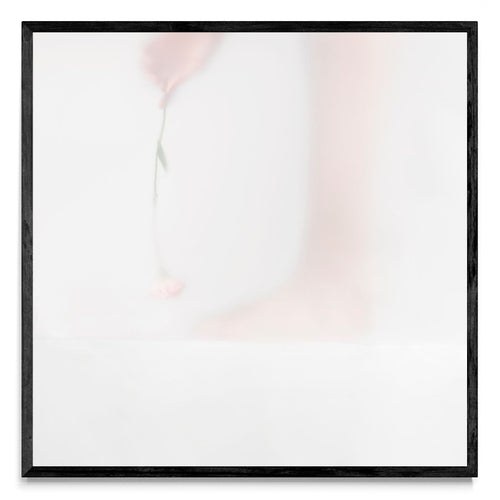 Aromas cotidianos - ritual II - Cuadrado N