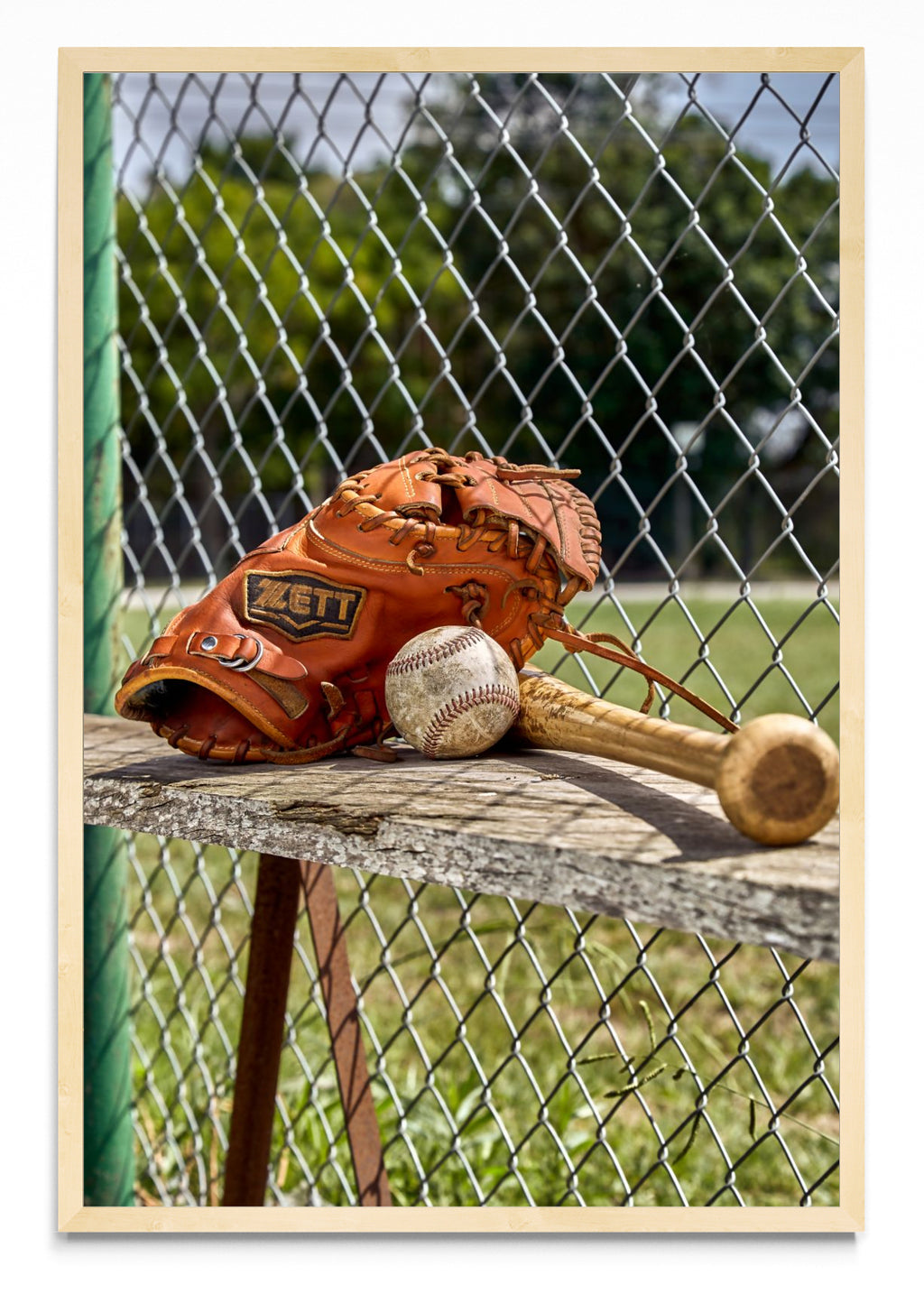 BEISBOL - FotoV MC