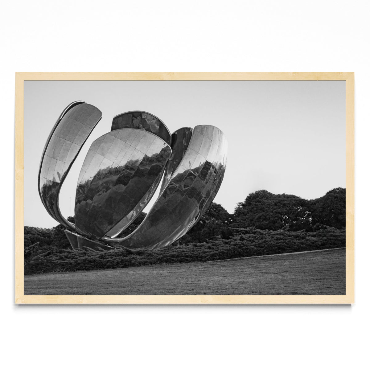 Floralis. - FotoH MC