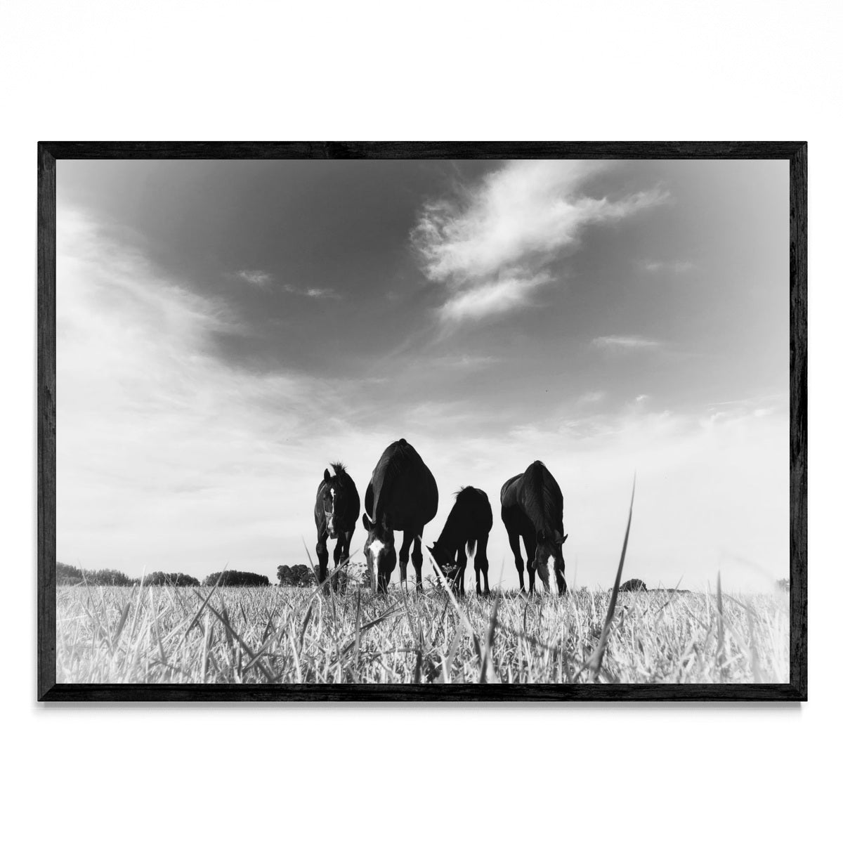 Tenedor libre - Paisaje N