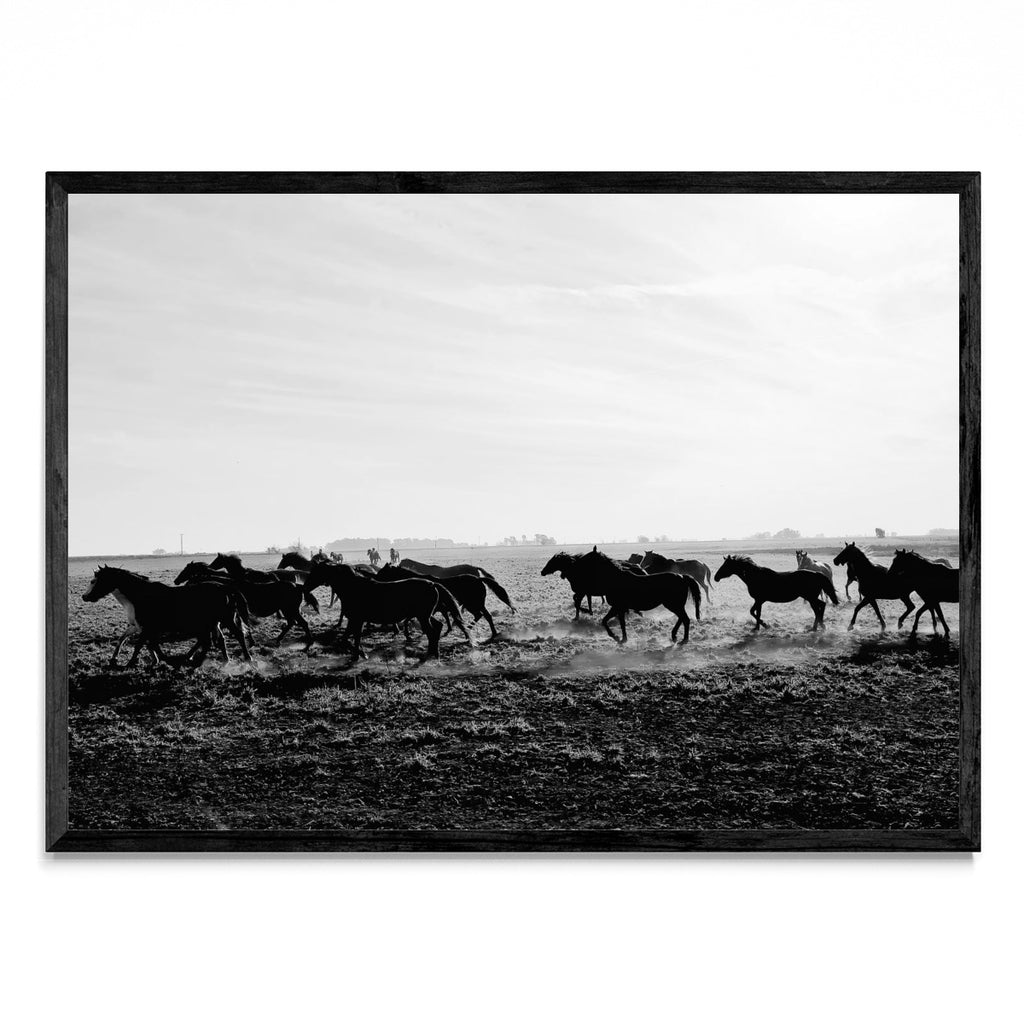 Vamos? - Paisaje N