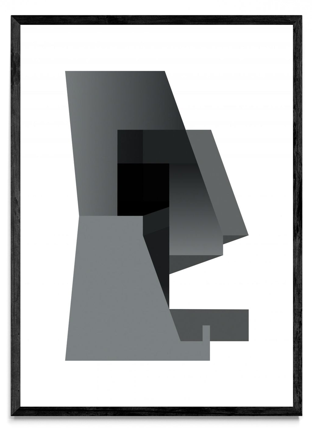 Módulo 3 - Retrato N