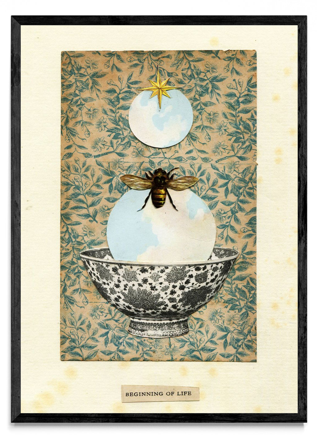 Beeginning of life - Retrato N