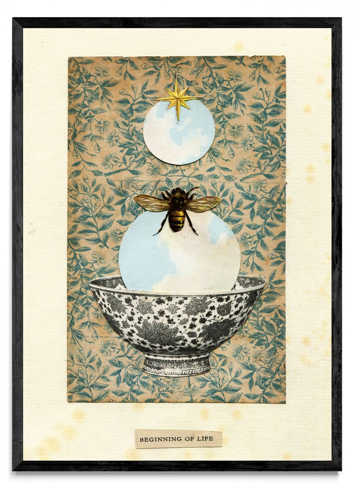 Beeginning of life - Retrato N