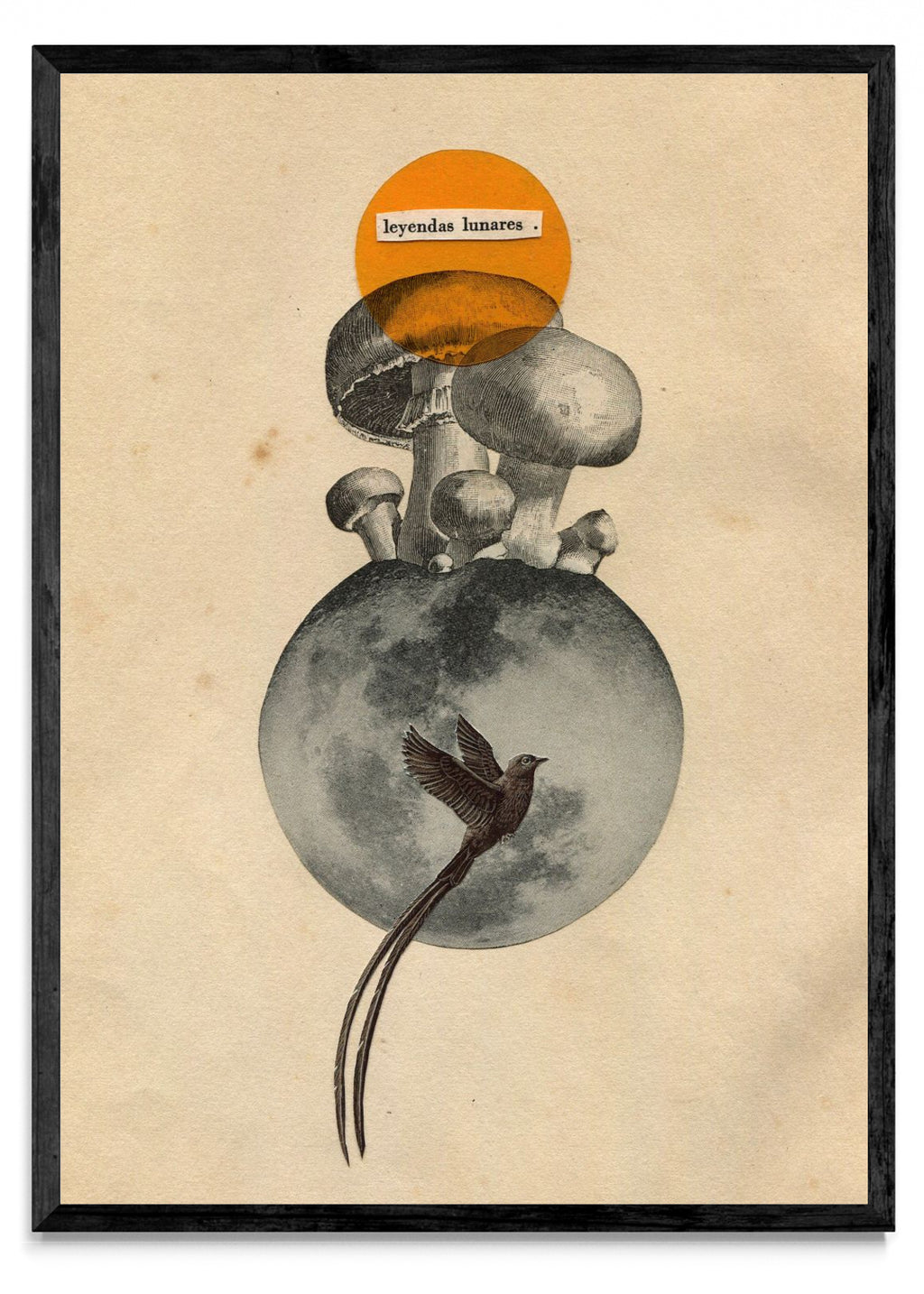 Leyendas Lunares - Retrato N