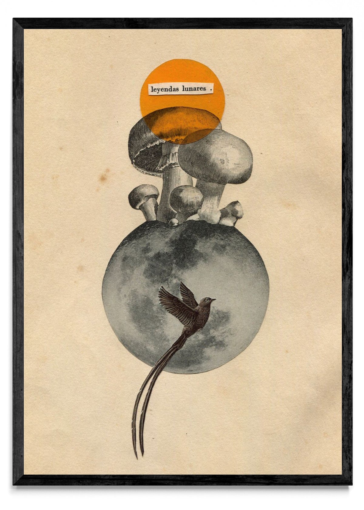 Leyendas Lunares - Retrato N