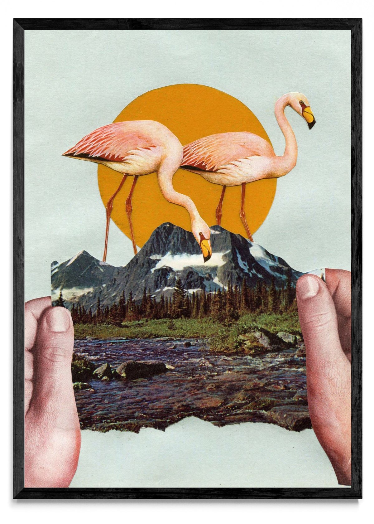 Cuentos de la Patagonia. - Retrato N