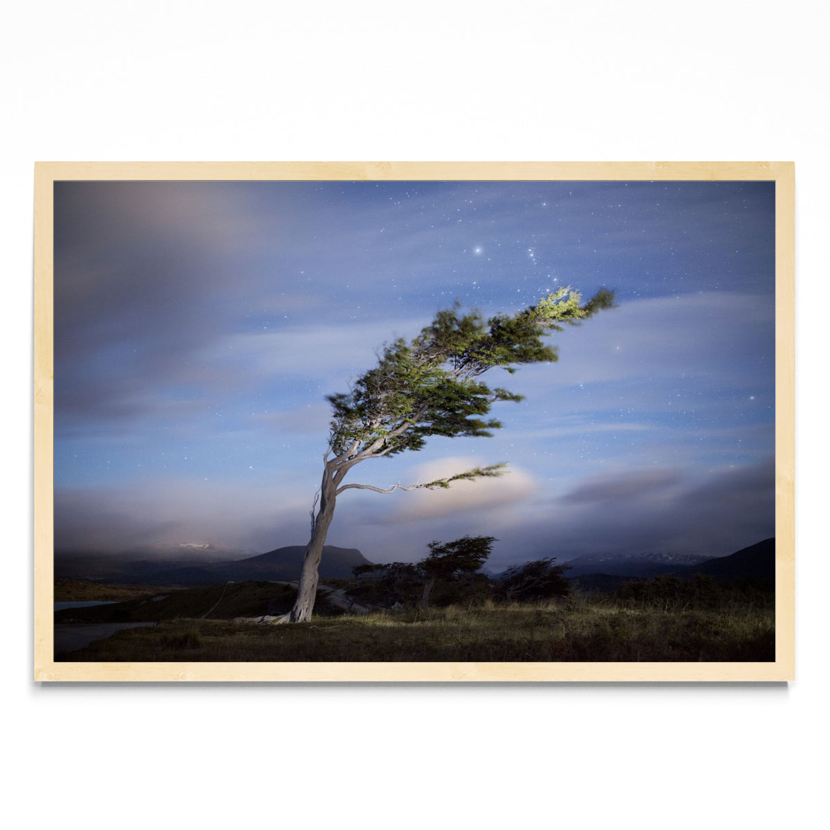 La caricia del viento - FotoH MC