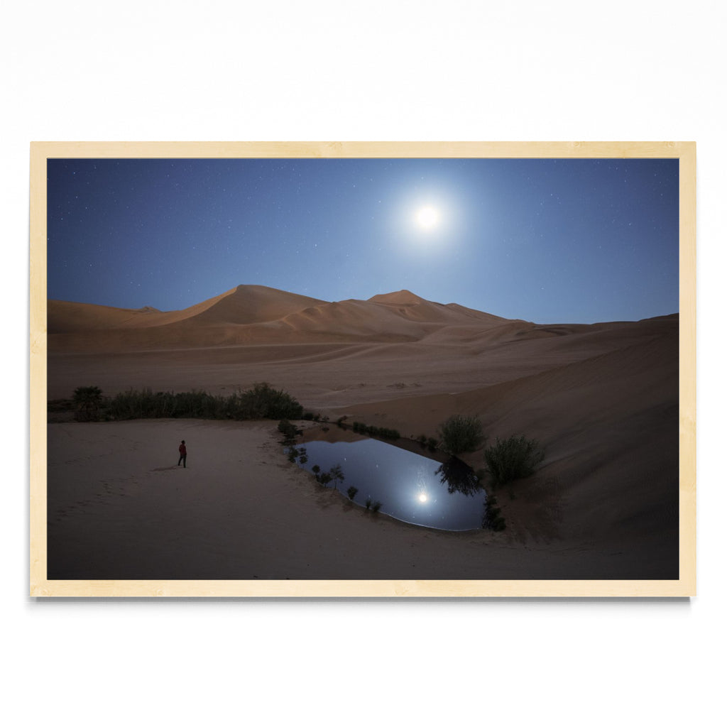 Oasis bajo la luz de la luna - FotoH MC