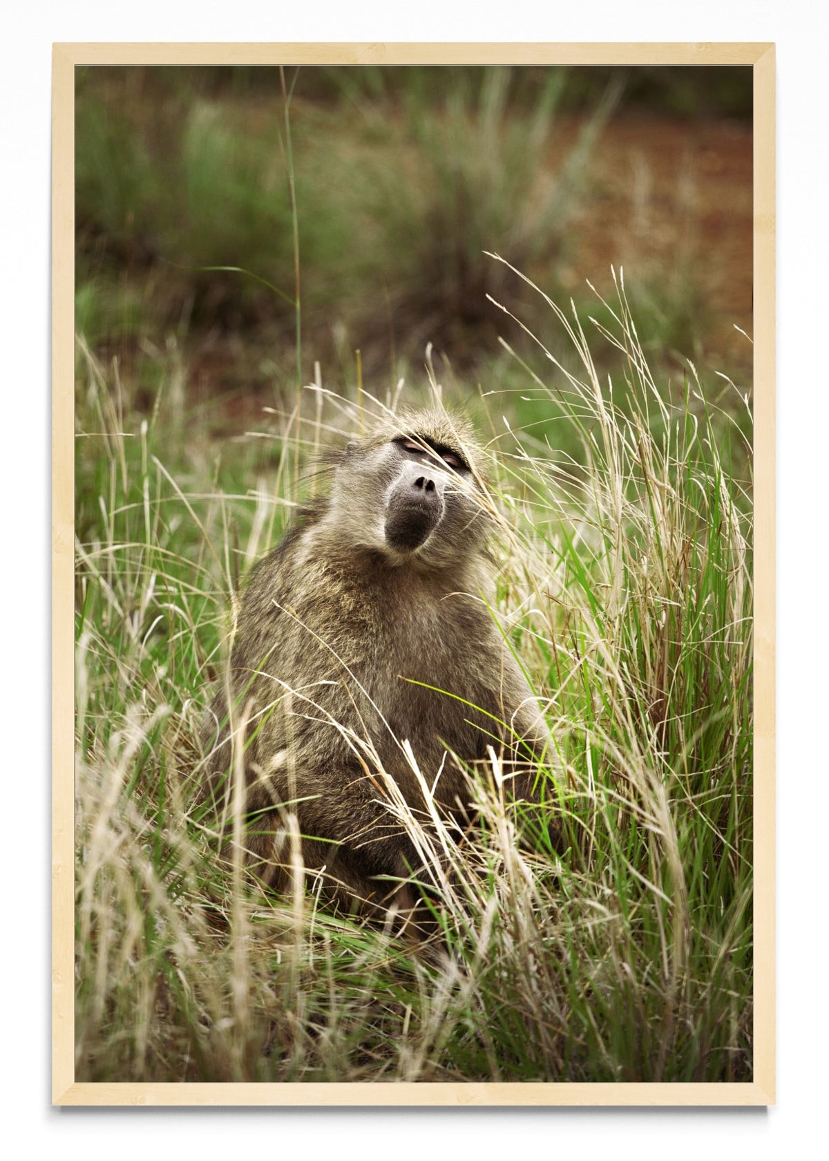 La caricia del viento - FotoV MC