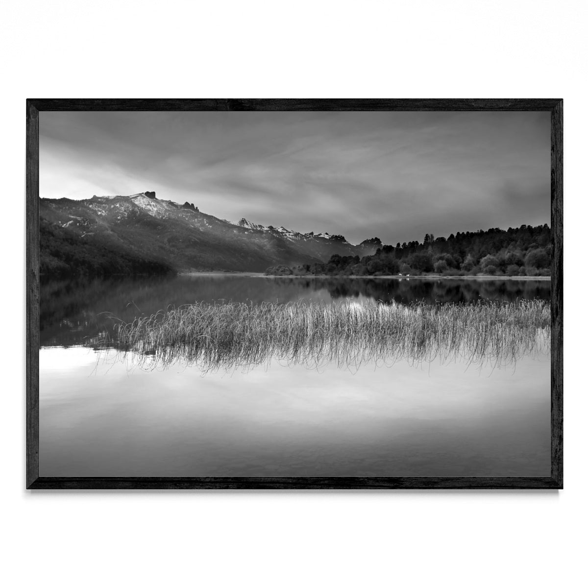 Contemplar la inspiración. - Paisaje N