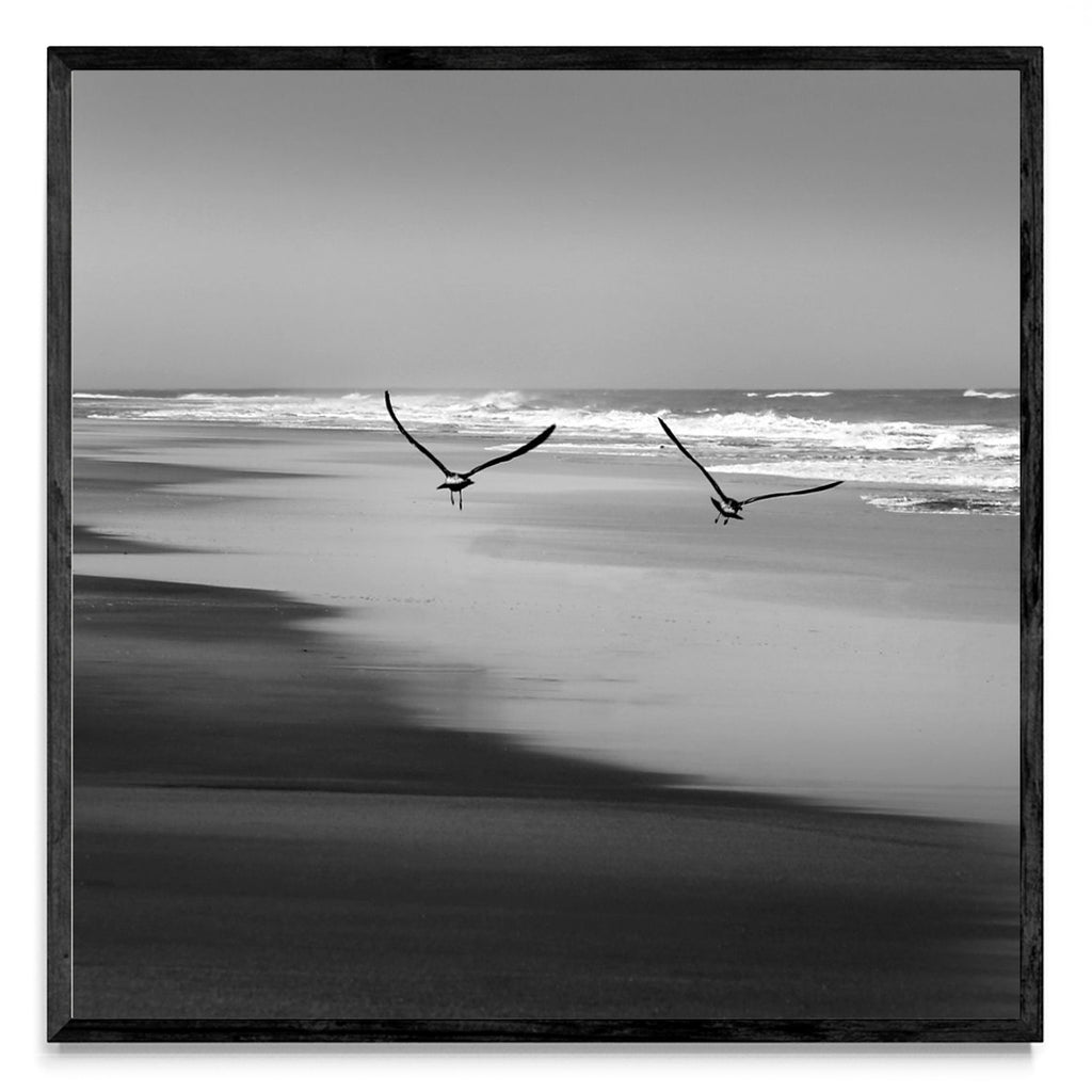Vientos de libertad. - Cuadrado N