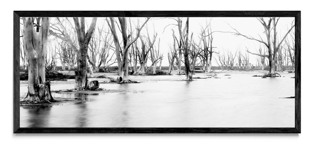 Suspiros de invierno. - Pano H N