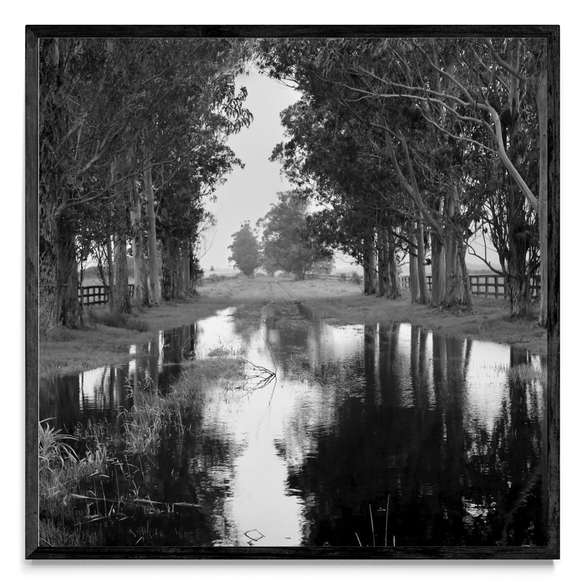 Reflejos del cielo. - Cuadrado N