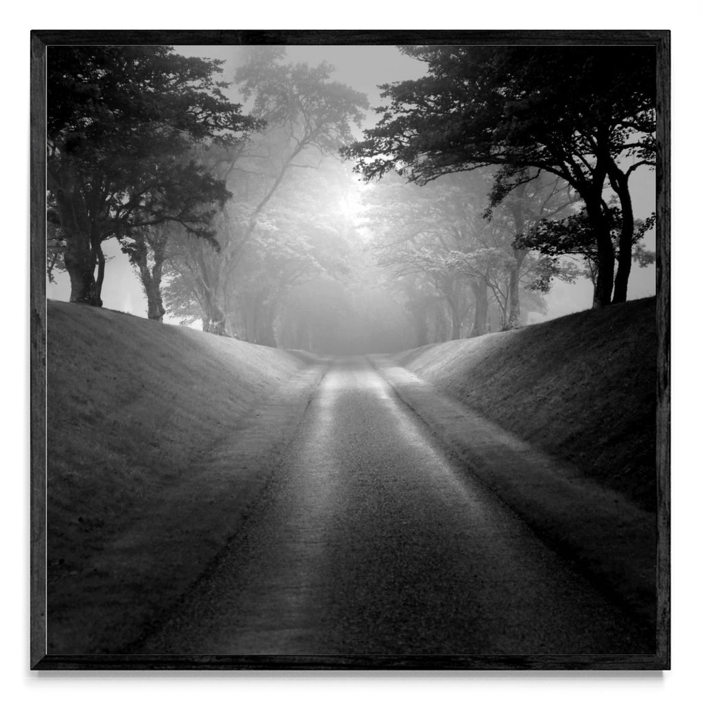 Memorias de un camino. - Cuadrado N