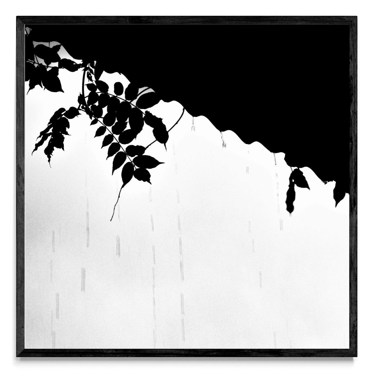 Lluvia en Blanco y Negro - 1 - Cuadrado N