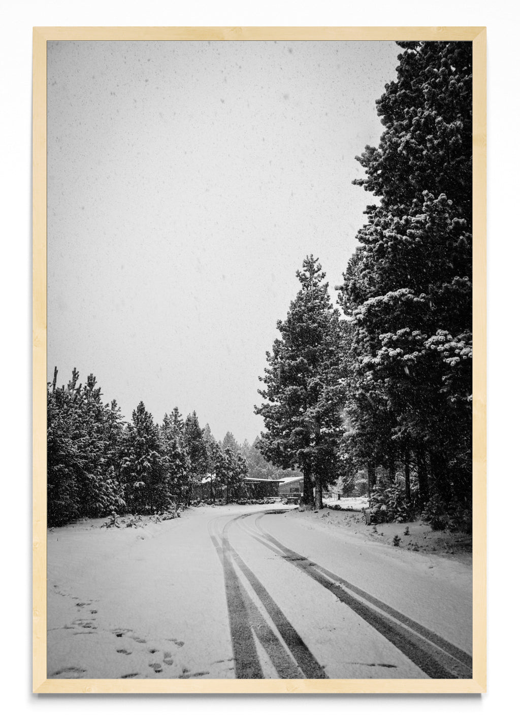 Invierno Patagónico - FotoV MC