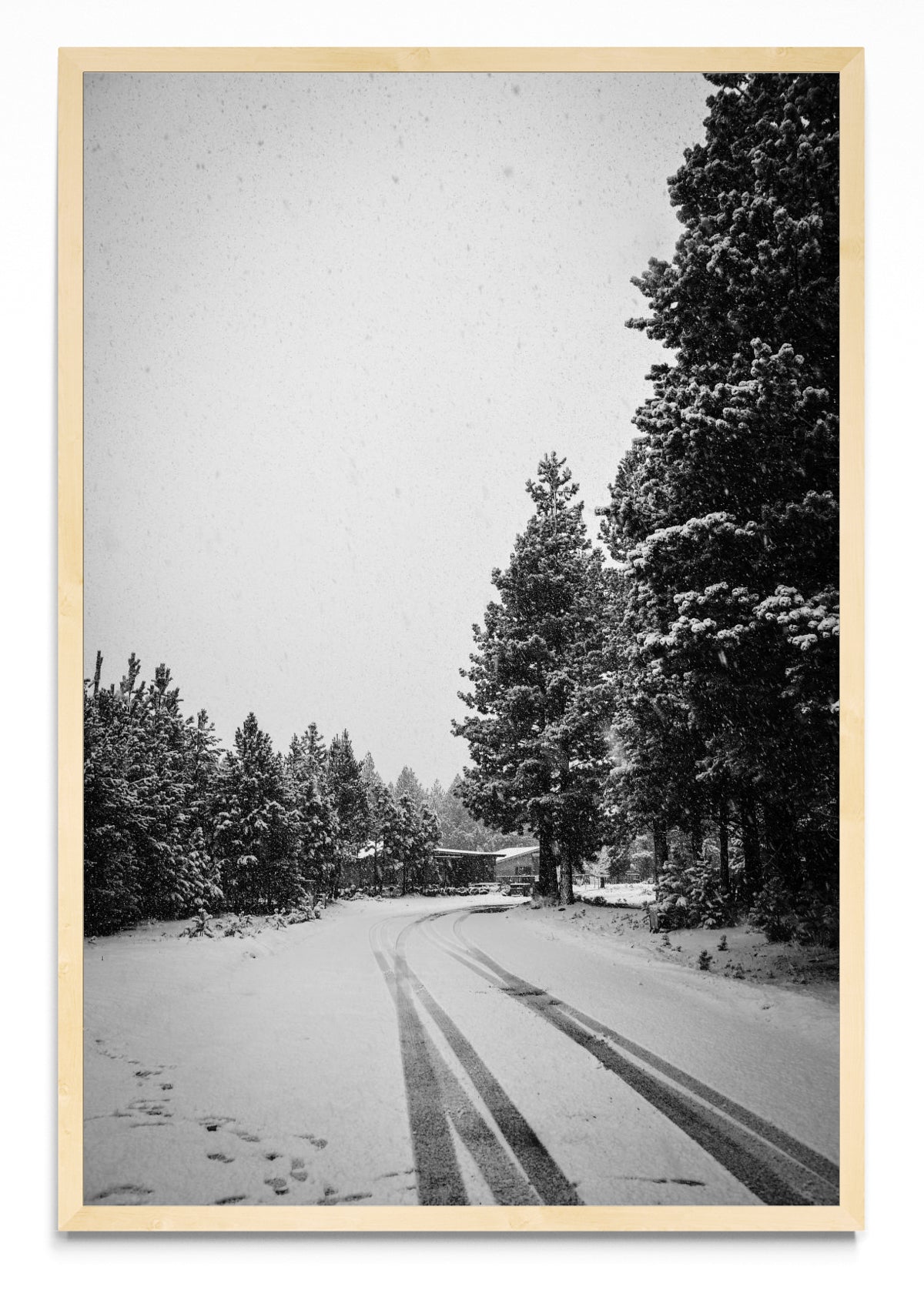 Invierno Patagónico - FotoV MC